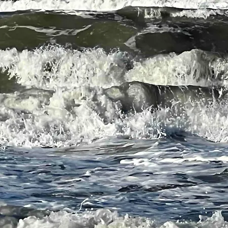 Felix Διαμέρισμα